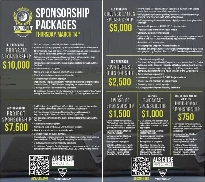 Sponsorship Flyers combined - no border.jpg